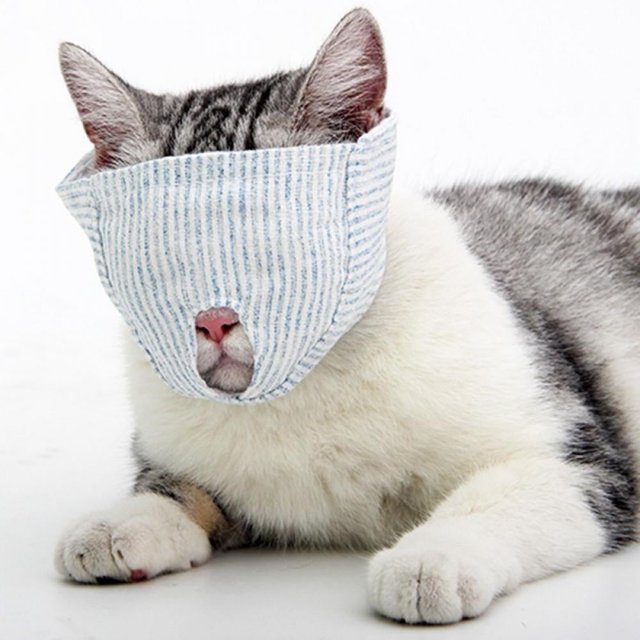 Breathable Mesh Muzzles Prevent Cats From Biting And Chewing Anti Bite