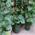 thumbnail image 7 of 4 Pack Plant Support Cage, Vine Trellis Support 17.7" Flowers Plants Cage Triple Plastic Pillar with 3 Adjustable Rings, Plant Stake Plant Support for Home Garden Balcony, 7 of 7