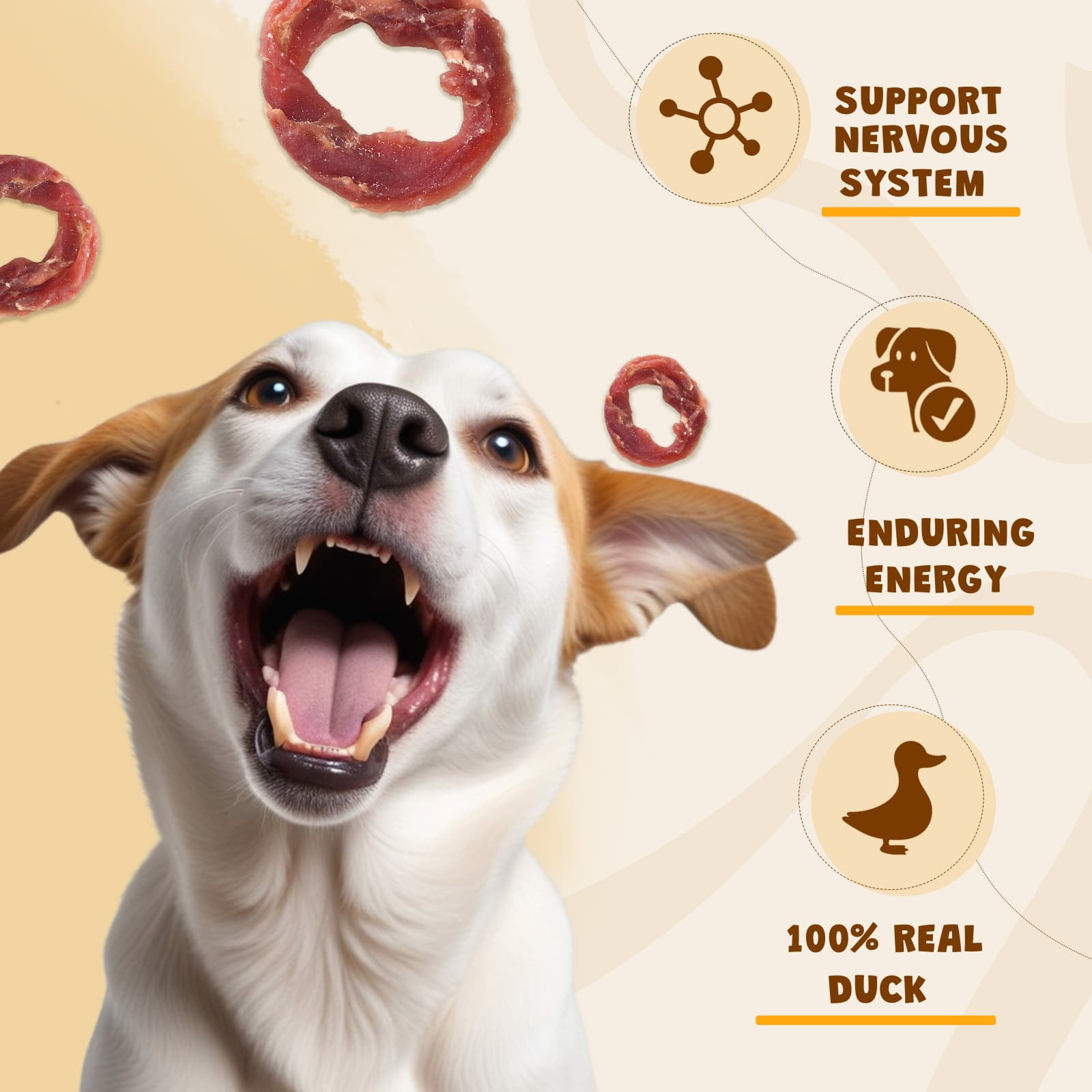 (3 pack) ASMPET Duck Jerky Dog Treats, Healthy Duck Snacks for Small Medium Large Dogs, 10.6oz