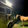 thumbnail image 4 of Horse Trailer Side Mount Light - 10,000 Lumens, 4 of 11