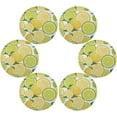 thumbnail image 3 of GZHJMY Fresh Lemon Lime Round Placemats Washable Plate Table Mats for Kitchen Dining Table Decoration Set of 4 Table Mat, 3 of 7