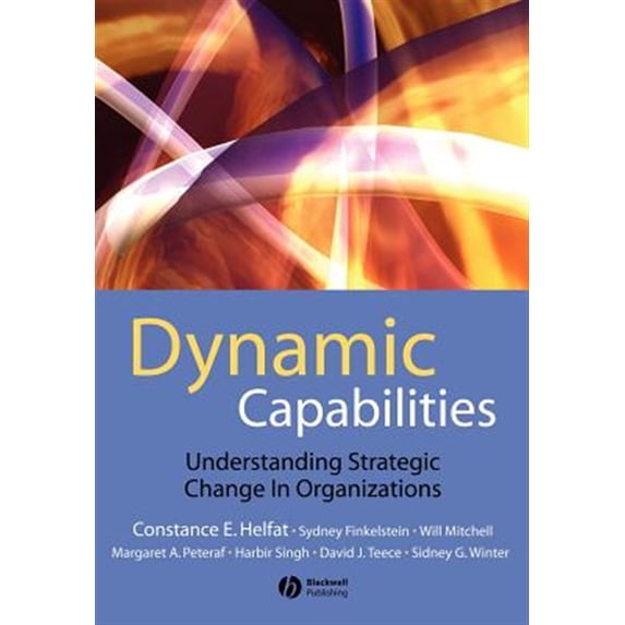 Pre-Owned Dynamic Capabilities (Paperback)