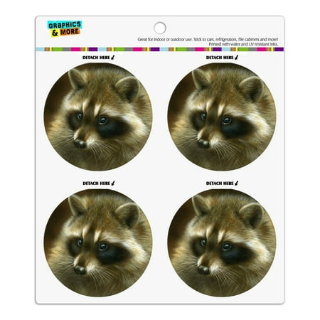 

Raccoon Masked Bandit Refrigerator Fridge Locker Vinyl Circle Magnet Set