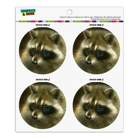 Raccoon Masked Bandit Refrigerator Fridge Locker Vinyl Circle Magnet Set