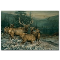 Wgi Gallery Art Prints Walmart Com
