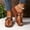 Brown, variant on Sandals for Women Summer Beach Womens Sandals Fashion Shoes Women Blue 5.5
