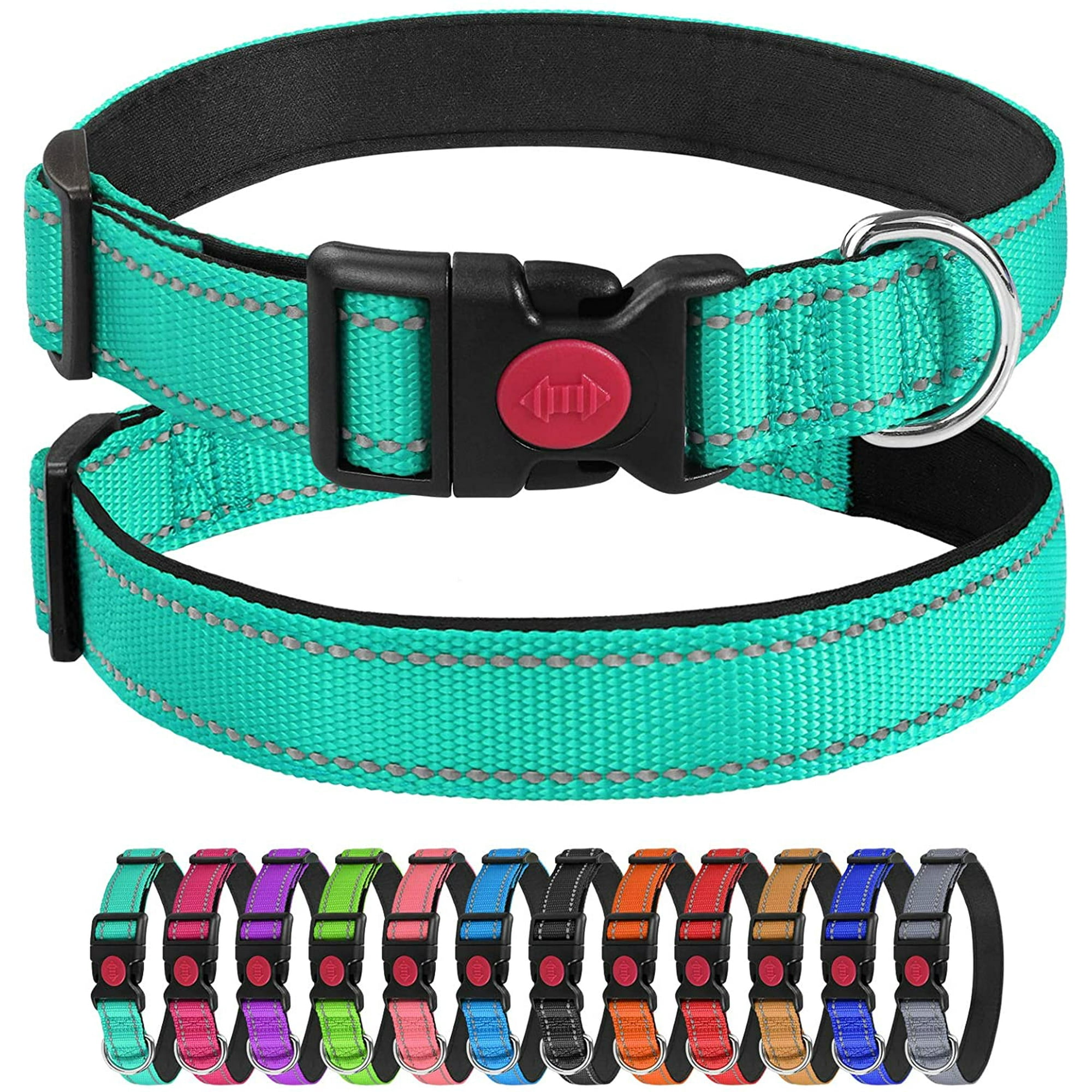 Are Buckle Collars Safe For Dogs