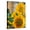 Canvas, variant on Art.com Smile: Sunny Sunflower Photo by Nicole Katano, 12" x 16"