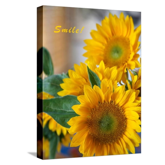 Art.com Smile: Sunny Sunflower Stretched Canvas Print Wall Art by Nicole Katano, 12" x 16"