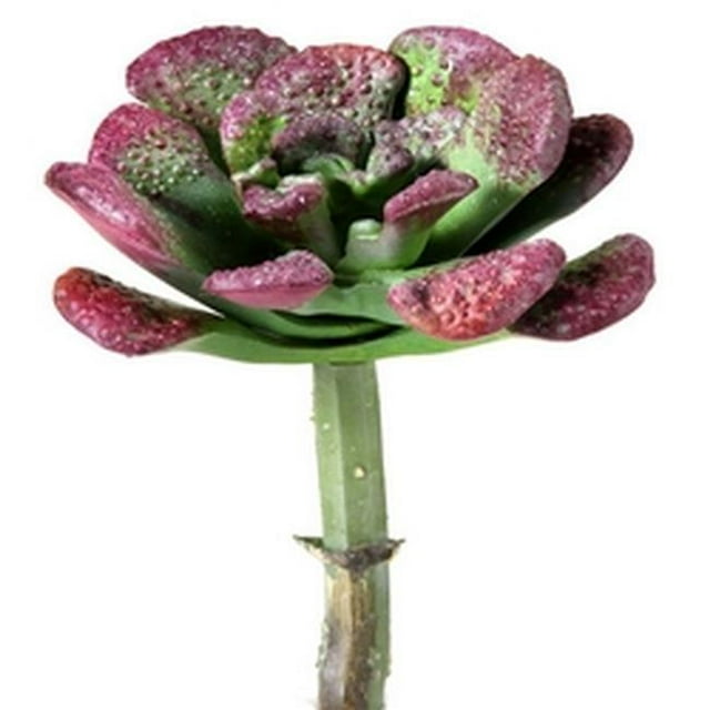 5 in. Green & Burgundy Coral Reef Succulent Artificial Flowers