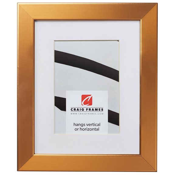 Craig Frames Bauhaus 125, 12x12 inch Stainless Brass Picture Frame Matted for a 9x9 Photo