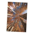 thumbnail image 3 of Tapiz de pared 3D con diseño de árbol, tela de poliéster, arte natural, para decoración de pared norte, 3 of 9