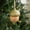 Green, variant on FeiFu Christmas Ball Ornaments Soft Plushes Hanging Balls Textured Festive Decor for Christmas Trees Wreaths and Mantels