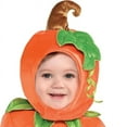thumbnail image 2 of Amscan Cute As A Pumpkin Infant Costume, 0-6 Months, 2 of 3