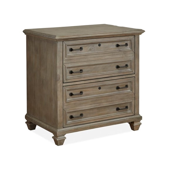 Bowery Hill Traditional Dovetail Wood Lateral File Cabinet in Gray