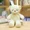 white, variant on 30cm 16 Styles Bear Plush Toy Soft Stuffed Animal Doll Small Pink Gray White Teddy Bear Doll Lovely Birthday Gifts For Girl Boy,ligth pink