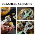 Quail Egg Cutter Scissors Birds Egg Opener Stainless Steel Kitchen