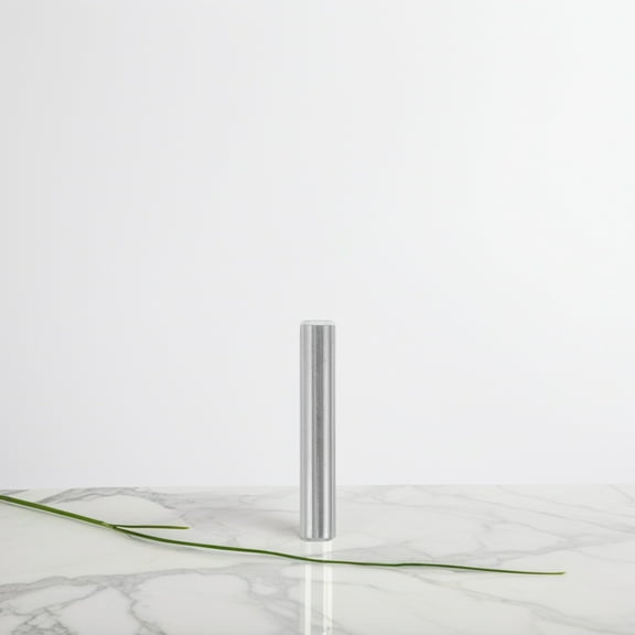 GOOHOCHY 25pcs Stainless Steel Dowel Pin Cylindrical Shelf Brackets Pegs Dowel Wood Bunk Bed Dowel Pins Shelf Support Pin