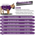 thumbnail image 3 of ROZKITCH Dog Anxiety Vest Comfort Soft Dog Anxiety Calming Vest Coat for Small Medium Large Dogs Adjustable Dog Anxiety Relief Shirt Wrap for Thunderstorms Fireworks Vet Visits Separation(Purple), 3 of 9
