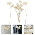 thumbnail image 3 of 6pcs Rose Flower Aroma Rattan Sticks for Home Office Car, 3 of 6
