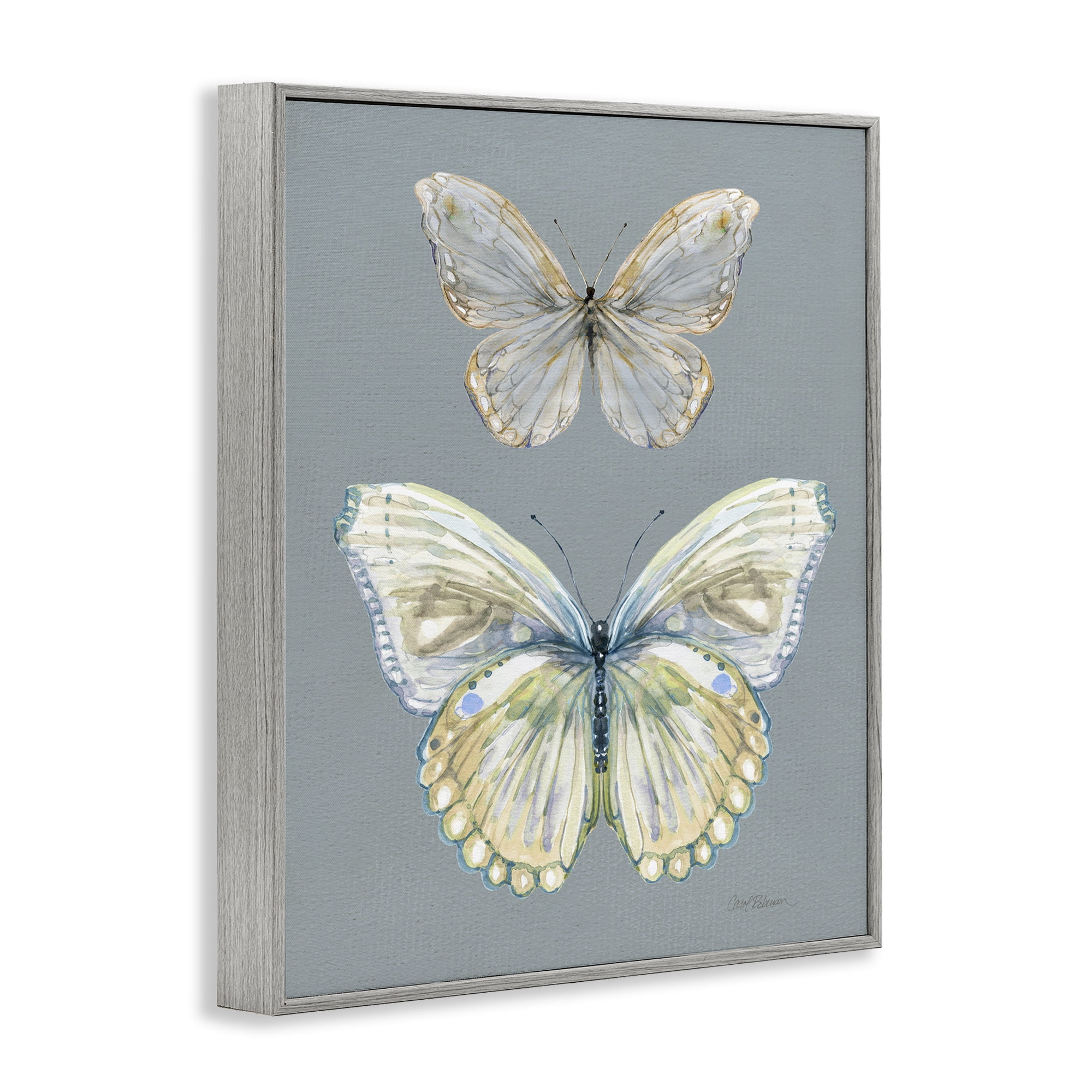 Stupell Industries Butterfly Pair Study Gray Framed Giclee Art, design by Carol Robinson