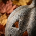 thumbnail image 6 of Halloween Concrete Jack O Lantern Pumpkin, Weathered Jack O Lantern Candle Holder Vintage Textured Pumpkin Figurine for Farmhouse Gothic Indoor Dining Table Fall Home Decor, 6 of 11