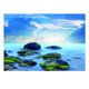 thumbnail image 2 of Acuario Fondo Fish Tank Decoraciones Imágenes Adhesivo Poster METRO Zulema Etiqueta engomada del acuario, 2 of 8