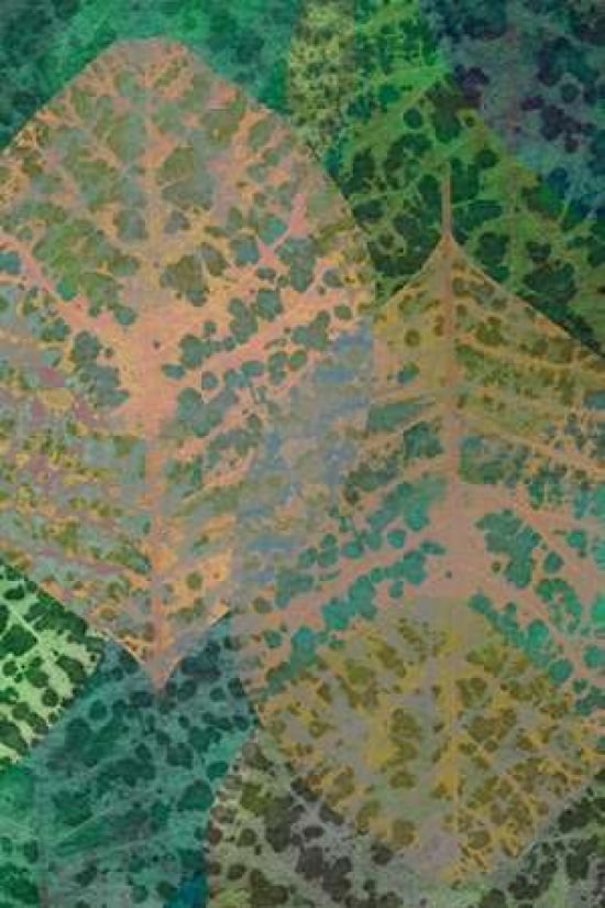 Leaf Pattern 1-14 C
