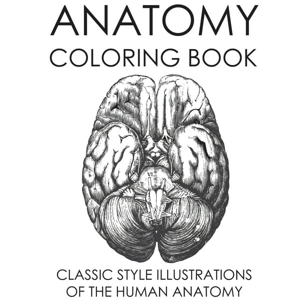 Download Anatomy Coloring Book: Classic Style Illustrations of the ...