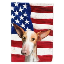 Carolines Treasures CK6648CHF Podenco Canario Dog American Canvas House Size Outdoor-Flags, Multicolor
