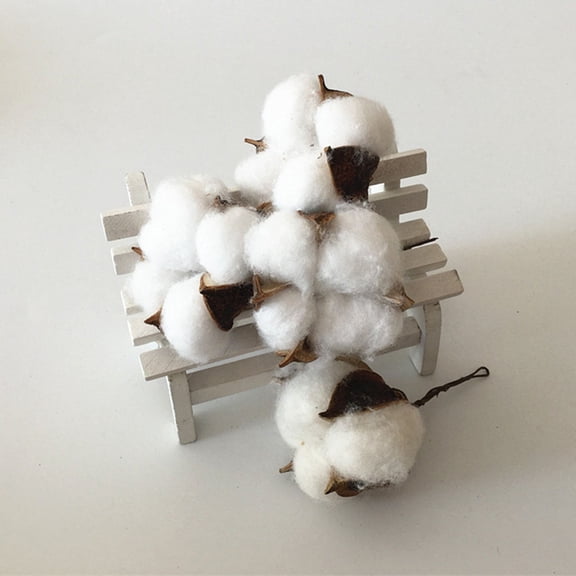 WRITWAA 5pcs Dried Cotton Flower Rustic Event Multi Decoration Women