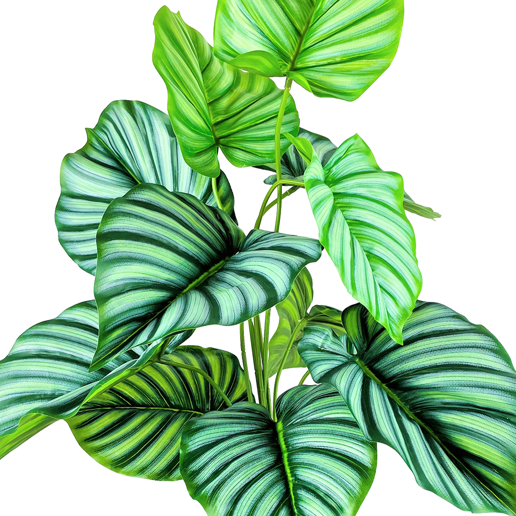 LCG Florals Artificial Plant, Prayer Plant, 2.5 ft, Two-Tone Decorative Handwoven Basket