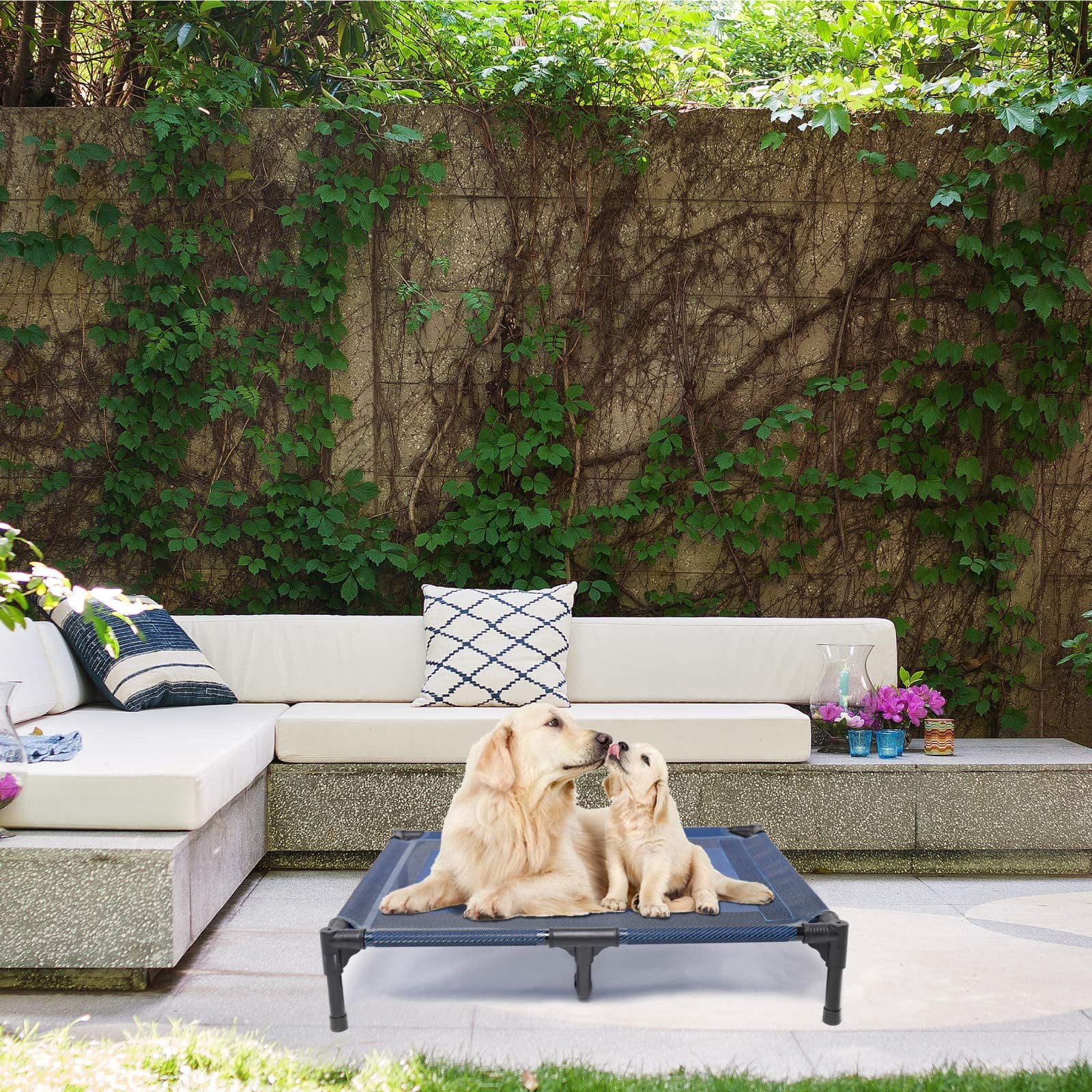 Elevated Dog Bed Waterproof Outdoor  Portable Raised Beds Off The Floor Dogs Easy Clean Indoor Or Use Medium Blue