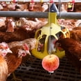 thumbnail image 3 of Aparato de alimentación de pollos de hierro, alimentador colgante para pollos, tenedor de fruta, 1 ud., 3 of 6