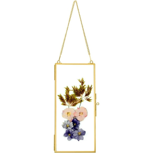 shiyou-Double Glass Frame for Pressed Flowers with ChainFloating Frame Style Gallery Wall Frame for Artwork Photo, Picture, Pressed Dried Flowers, Plant Specimen (GF GOLD-105x230mm)