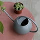 thumbnail image 1 of Regadera de Plantas de Jardín DYNWAVEMX 1L gris regadera de caño largo, 1 of 8