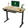 thumbnail image 4 of FLEXISPOT 48"x24" Black Home Office Height Adjustable Standing Desk Bamboo Texture Top with USB Charge Ports, 4 of 8