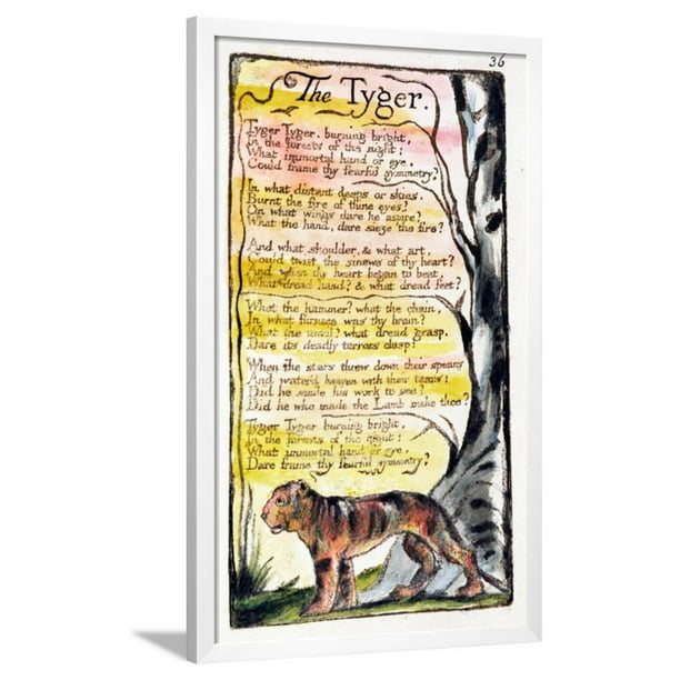 The Tyger, Plate 36 Bentley 42 from Songs of Innocence and of Experience  Bentley Copy L, Animals Framed Art Print Wall Art by William Blake Sold by   