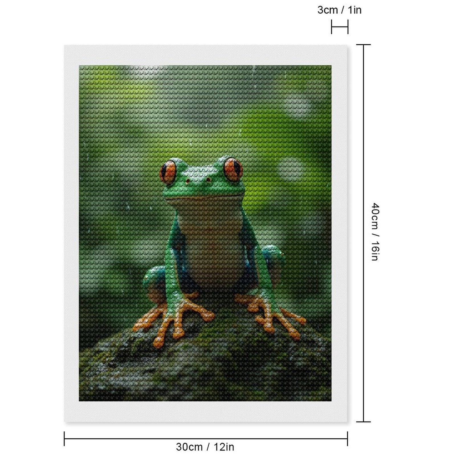 Diamond Art Kits for Adults, Tropical Rainforest Frog Nature 5D Diamond Painting Kits for Adults Beginners, DIY Full Drill Diamond Painting, Gem Art and Crafts 12x16
