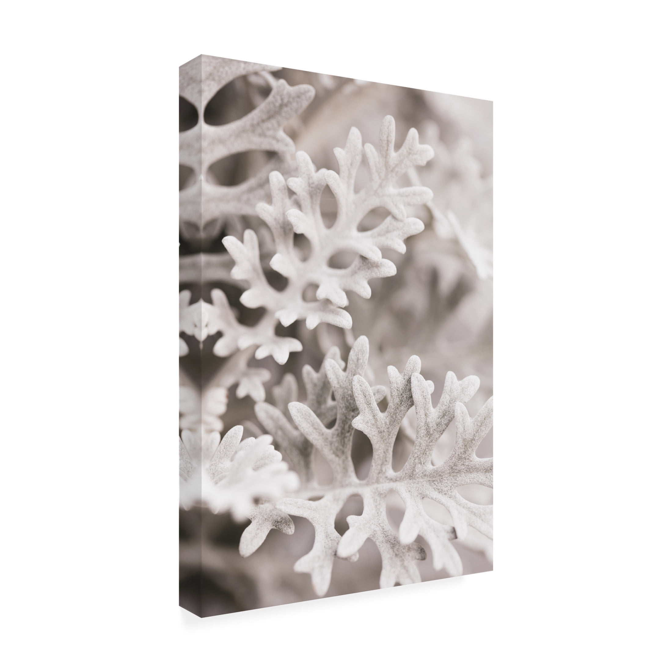 Trademark Fine Art Pictufy Studio Silver Leaves Canvas Wall Art