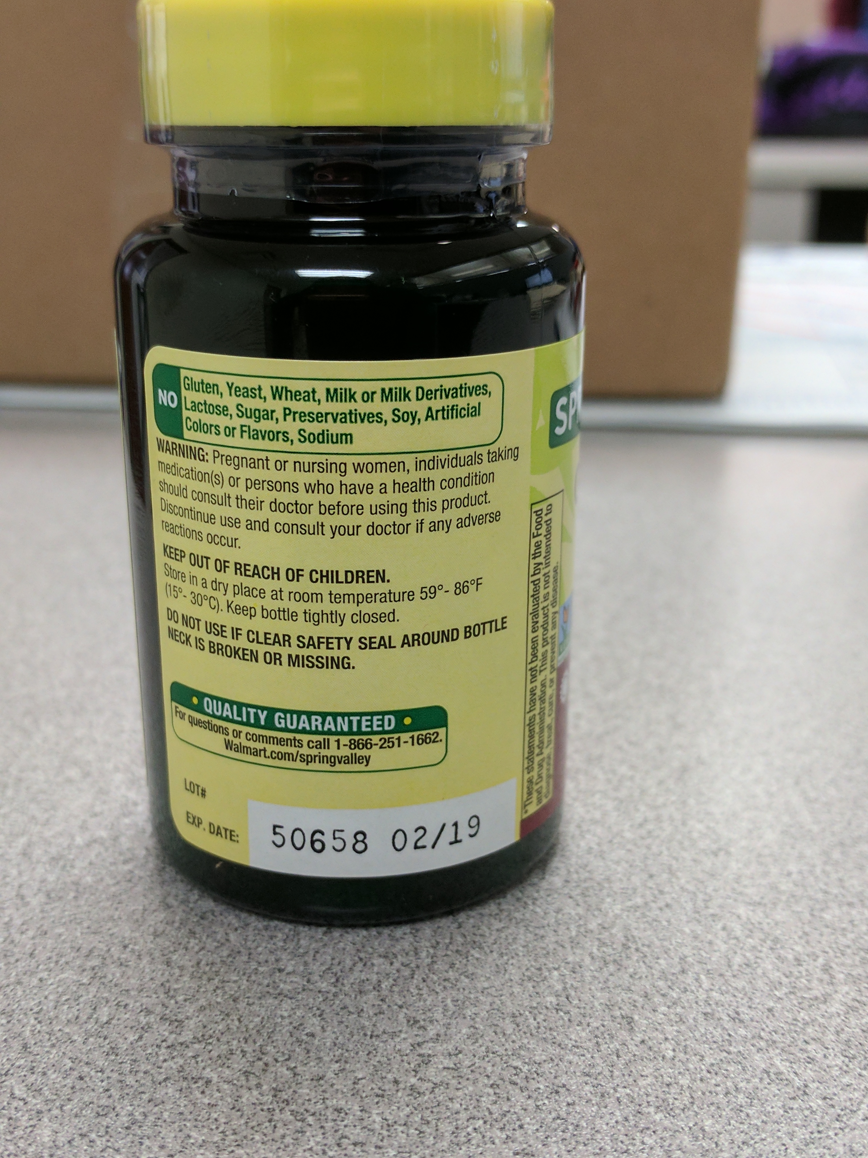 Spring Valley Ginkgo Biloba Extract Dietary Supplement Vegetarian Capsules for Memory Support, 120 mg, 90 Count