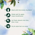 Herbal Essences BioRenew Blue Ginger InTheShower Foam Conditioner, 6