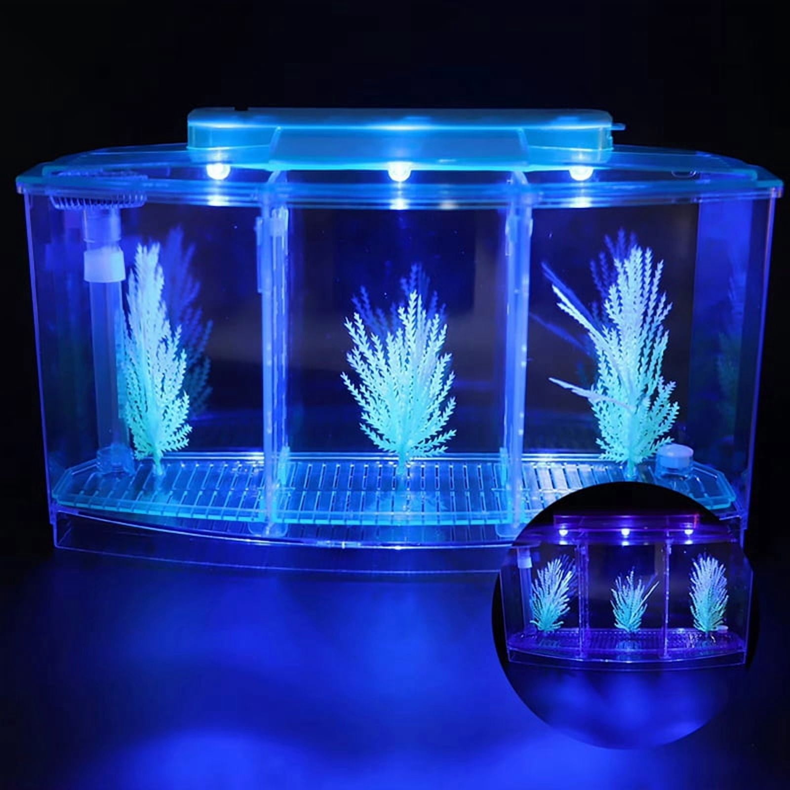 Mini Breeding Fish Tank Aquarium Fish Tank LED Acrylic Three Divisions Breeding Isolation Box for Small Fishes Blue