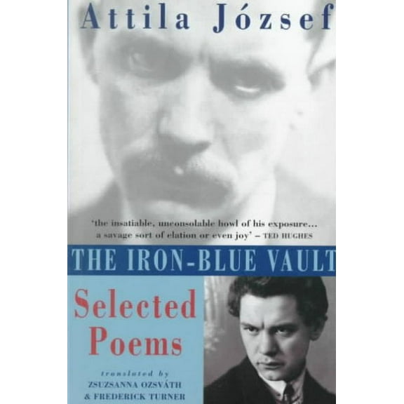 The Iron-Blue Vault (Paperback)