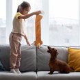 thumbnail image 3 of GiGwi 21" Squeaker Skinnies Fox Dog Toy, 3 of 5
