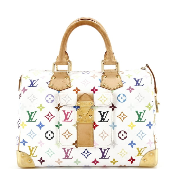 Pre-Owned Speedy Handbag Monogram Multicolor 30 By Rebag