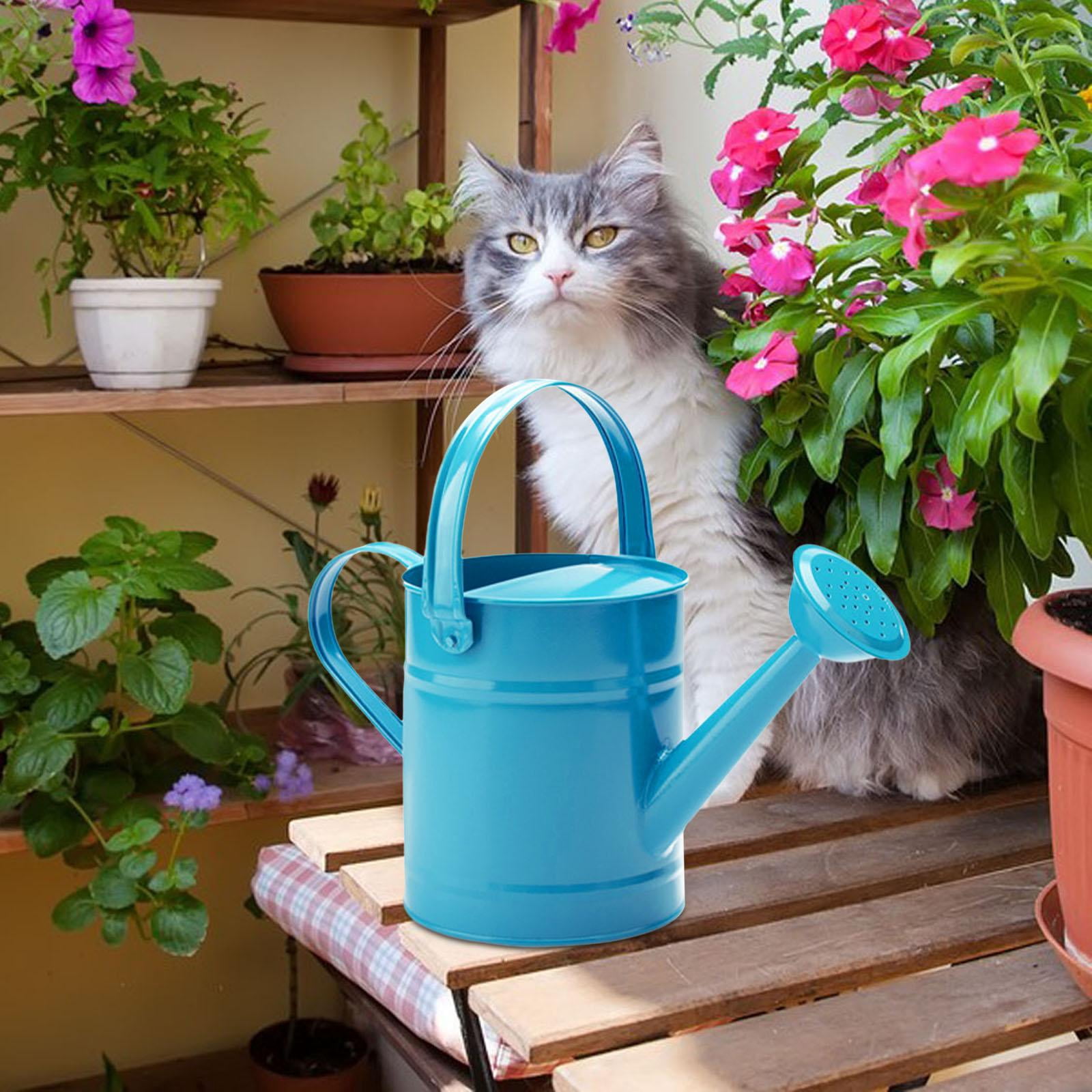 Gazechimp Garden Watering Can Flower Bed Garden Water Pot for Courtyard Lawn Farmhouse Blue