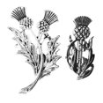 thumbnail image 1 of 2pcs Thistles Brooch Pins Fashion Brooches Jewelry Collar Lapel Breastpins Corsage Pins For Women, 1 of 4