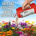 Messinas Squirrel Stopper Animal Repellent, 32oz Trigger Ready tp Use, Repels Squirrels and