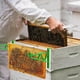 thumbnail image 3 of 2 soportes para marcos de colmena, soporte para marcos de colmena, soporte para múltiples marcos de abejas, percha para marcos de colmena, fácil inspección, cosecha para apicultura, 3 of 8